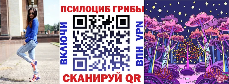 Галлюциногенные грибы Psilocybine cubensis  дарнет шоп  Володарск 